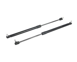 Амортизатор задней двери 21213 HOFER